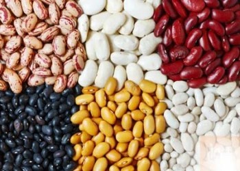 Các loại đậu bị ảnh hưởng bởi hiệu ứng nhà kính
