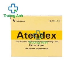 Atendex 600mg/2ml - Thuốc điều trị nhiễm khuẩn hiệu quả của India