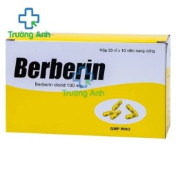 Berberin 100mg Bidiphar - Thuốc điều trị tiêu chảy hiệu quả