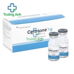 Ceftrione 1g Bidiphar - Thuốc điều trị nhiễm khuẩn hiệu quả