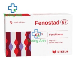 Fenostad 67 - Thuốc điều trị rối loạn Lipid huyết của Stada
