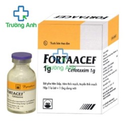FORTAACEF 2g - Thuốc điều trị nhiễm trùng, nhiễm khuẩn của Pymepharco