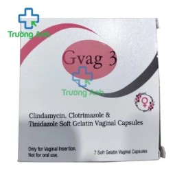 Gvag 3 - Viên đặt điều trị viêm âm đạo hiệu quả của India