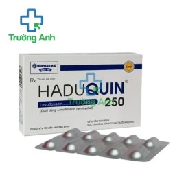 Haduquin 250 HD Pharma - Thuốc điều trị viêm, nhiễm khuẩn