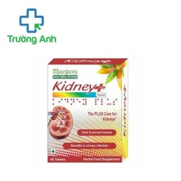 Kidney Plus Bhargava - Hỗ trợ bổ thận, tăng cường chức năng thận hiệu quả