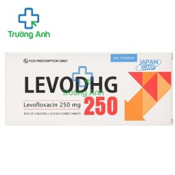 Levofloxacin 250mg DHG - Thuốc điều trị nhiễm trùng hiệu quả