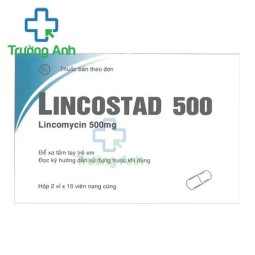 Lincostad 500 Pymepharco - Thuốc điều trị nhiễm khuẩn hiệu quả