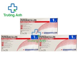 Piperacillin Panpharma 1g - Thuốc điều trị nhiễm khuẩn hiệu quả