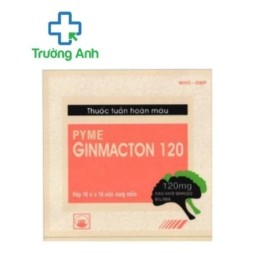 PYMEGINMACTON 120 - Hỗ trợ điều trị rối loạn tuần hoàn máu não của Pymepharco