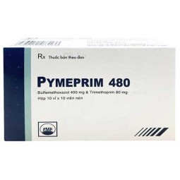 Pymeprim 480 - Thuốc điều trị nhiễm khuẩn hiệu quả