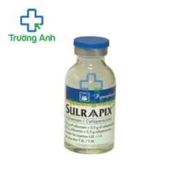 Sulraapix 1,5g Pymepharco - Thuốc điều trị nhiễm khuẩn hiệu quả