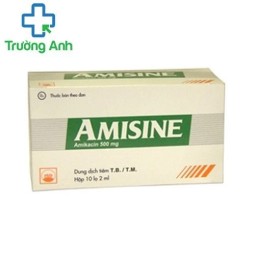 AMISINE - Thuốc điều trị nhiễm khuẩn của Pymepharco