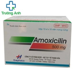 Amoxicilin 500mg Thephaco - Thuốc điều trị nhiễm khuẩn hiệu quả