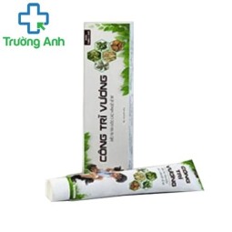 Thuốc bôi Công Trĩ Vương - Thuốc bôi điều trị trĩ