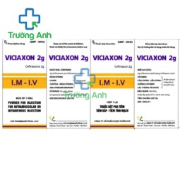 Viciaxon 2g VCP - Thuốc điều trị nhiễm trùng hiệu quả