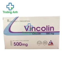 Vincolin 500mg (viên) - Điều trị bệnh não cấp tính hiệu quả của Vinphaco