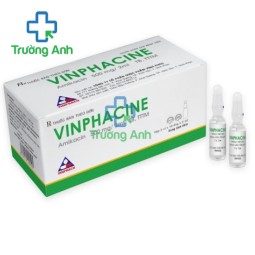 Vinphacine 500mg/2ml Vinphaco - Thuốc đìêu trị nhiễm trùng, nhiễm khuẩn 