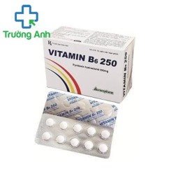 Vitamin B6 250 Vacopharm - Giúp bổ sung Vitamin B6 hiệu quả