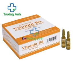Vitamin B6 100mg/1ml Vinphaco - Thực phẩm bổ sung vitamin B6 hiệu quả