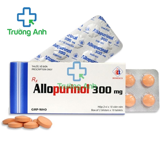 Allopurinol 300mg Domesco - Thuốc điều trị bệnh gút hiệu quả