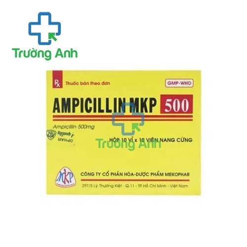Ampicillin 500mg Mekophar - Thuốc kháng sinh hiệu quả