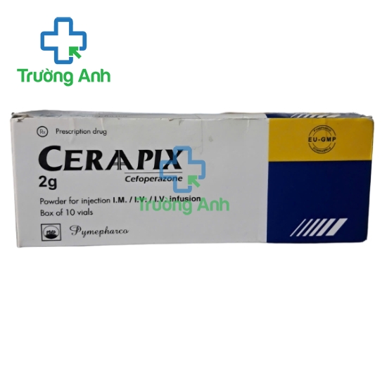 Ceraapix 2g Pymepharco - Thuốc điều trị nhiễm khuẩn hiệu quả