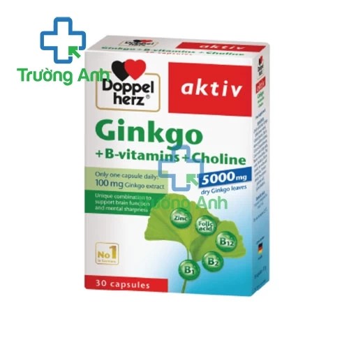 Ginkgo + B-vitamins + Choline Queisser - Giúp tăng cường trí nhớ