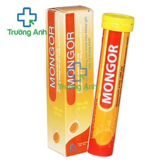 Mongor - Thuốc giảm đau chống viêm xương khớp hiệu quả