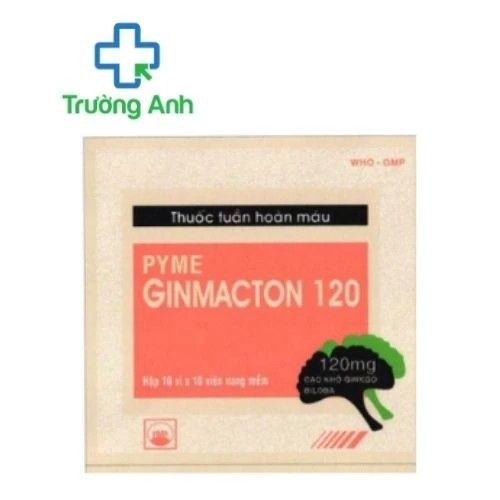 PYMEGINMACTON 120 - Hỗ trợ điều trị rối loạn tuần hoàn máu não của Pymepharco