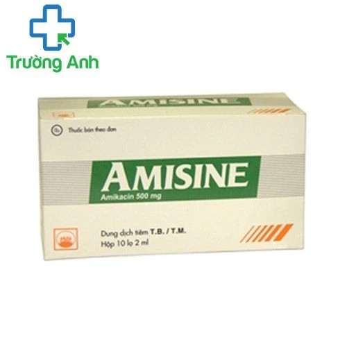 AMISINE - Thuốc điều trị nhiễm khuẩn của Pymepharco