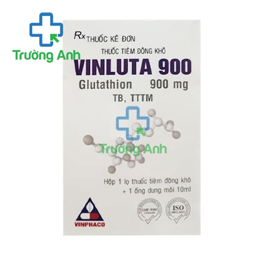 Vinluta 900 Vinphaco - Thuốc hỗ trợ điều trị ngộ độc thủy ngân hiệu quả